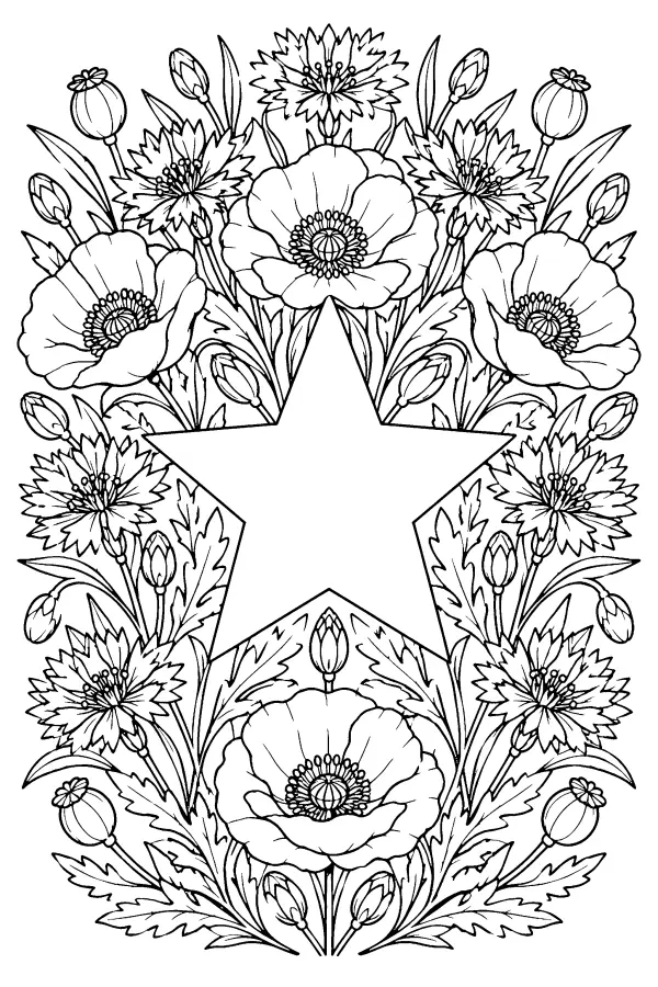 Wildflower Star Frame