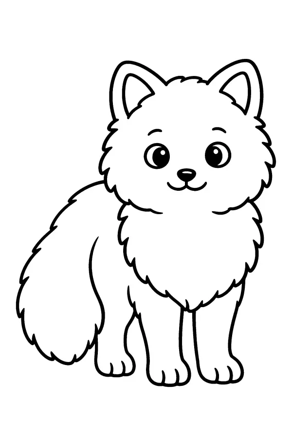 Fluffy Arctic Fox
