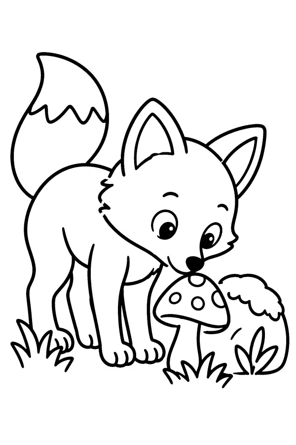 Fox And Mushroom