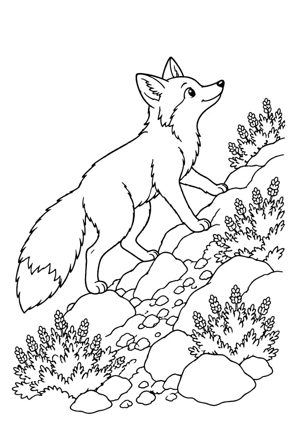 Fox On Rocky Slope