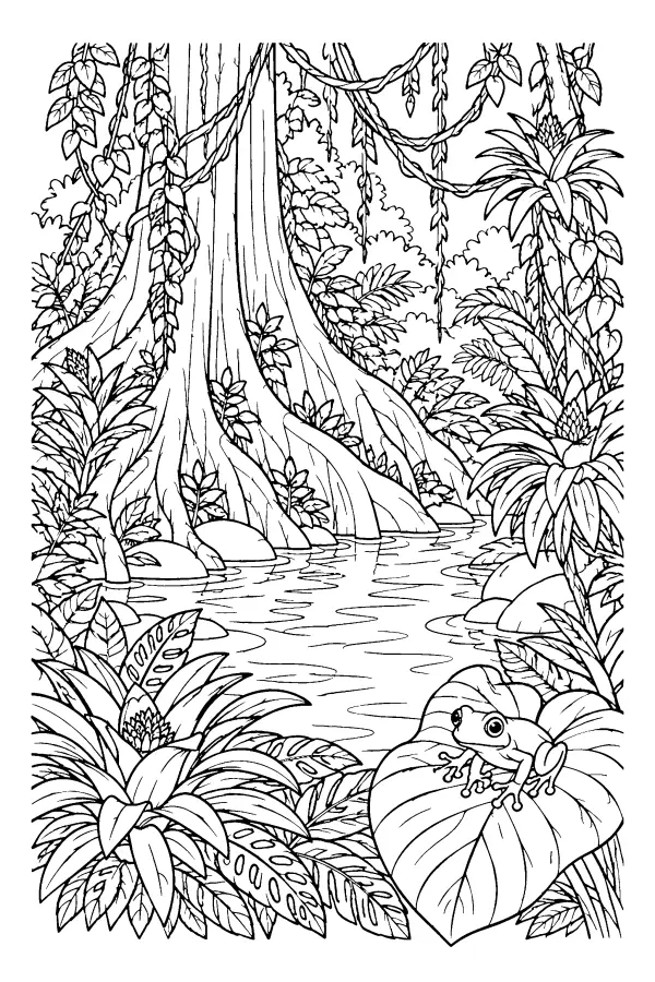 Rainforest Frog Pool
