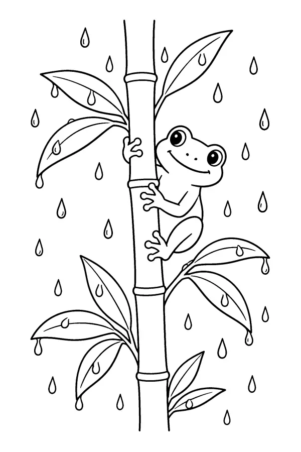 Rainy Bamboo Frog
