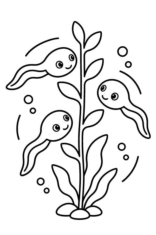 Tadpoles Around Weed