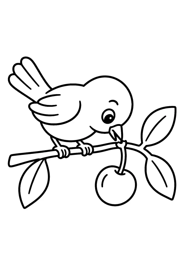 Bird And Cherry