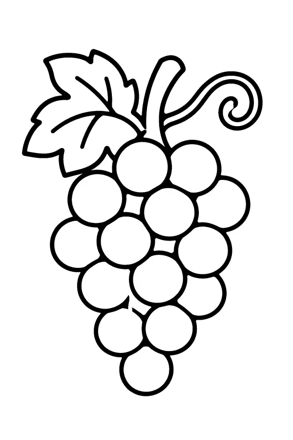 Grape Cluster