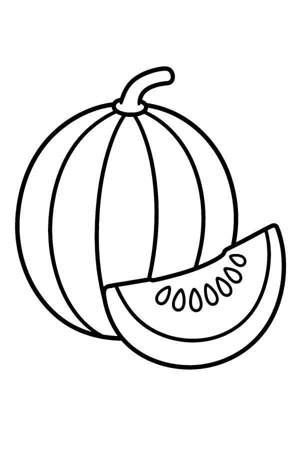 Melon And Slice