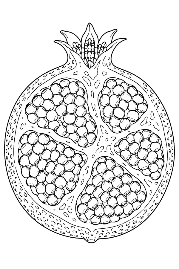 Opened Pomegranate