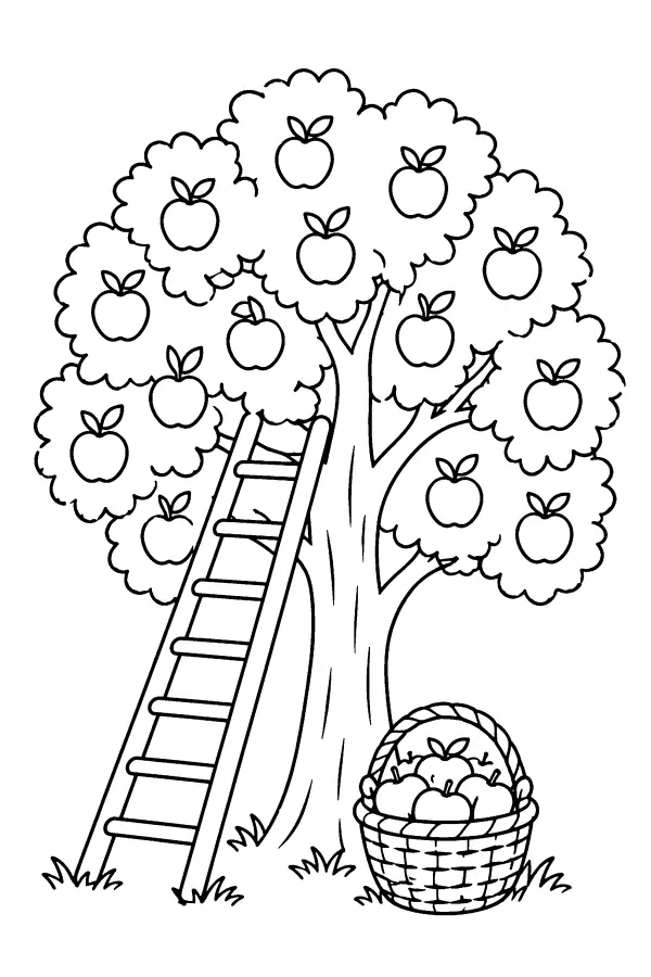 Orchard Harvest Ladder