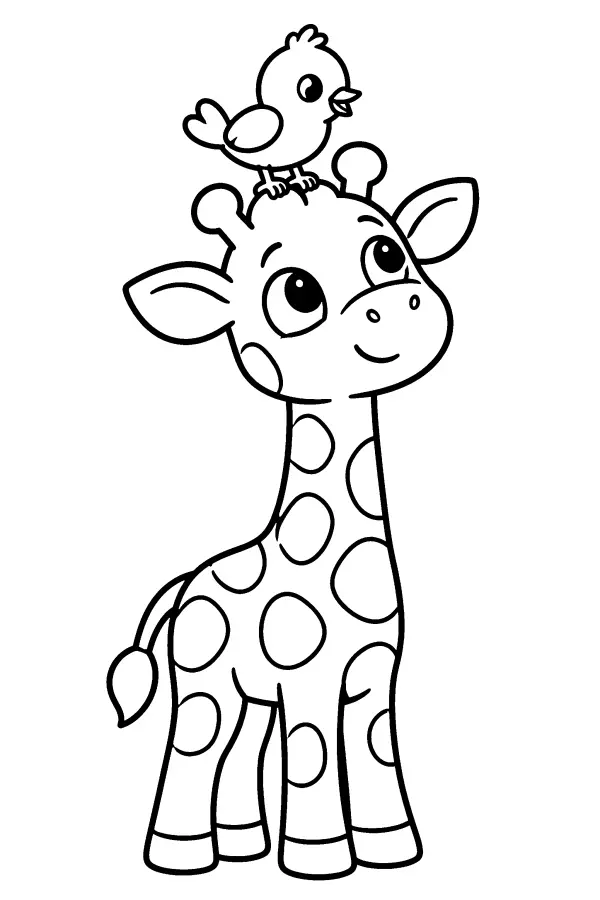 Bird On Giraffe