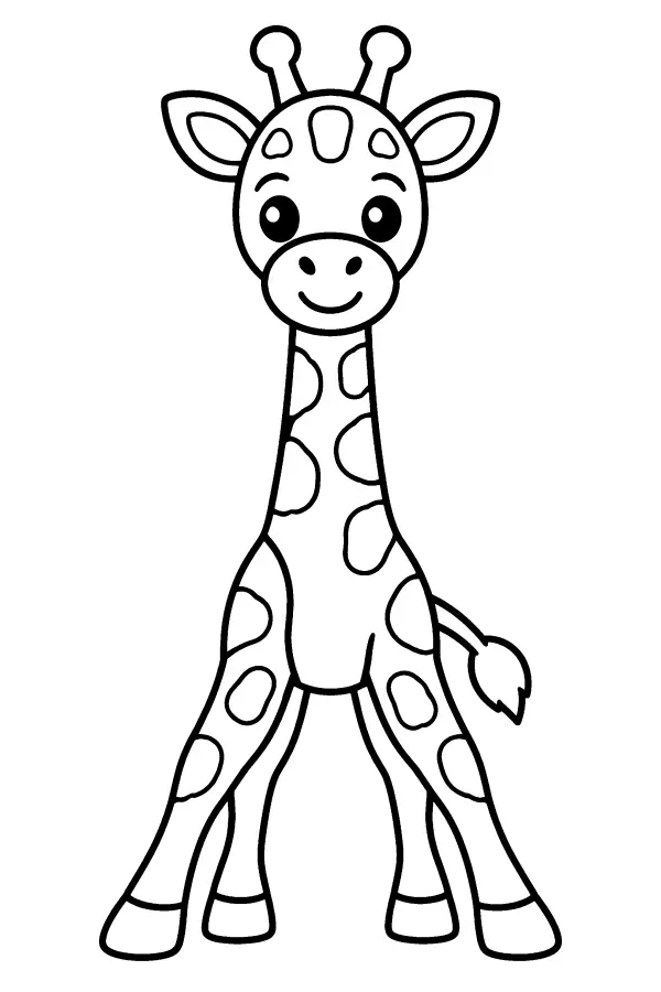 Front View Giraffe