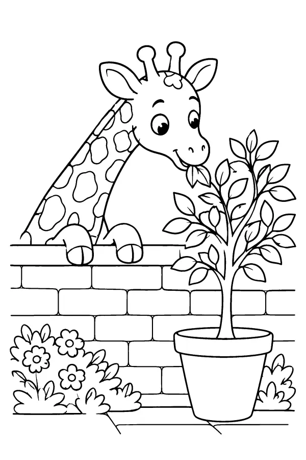 Giraffe Over Garden Wall