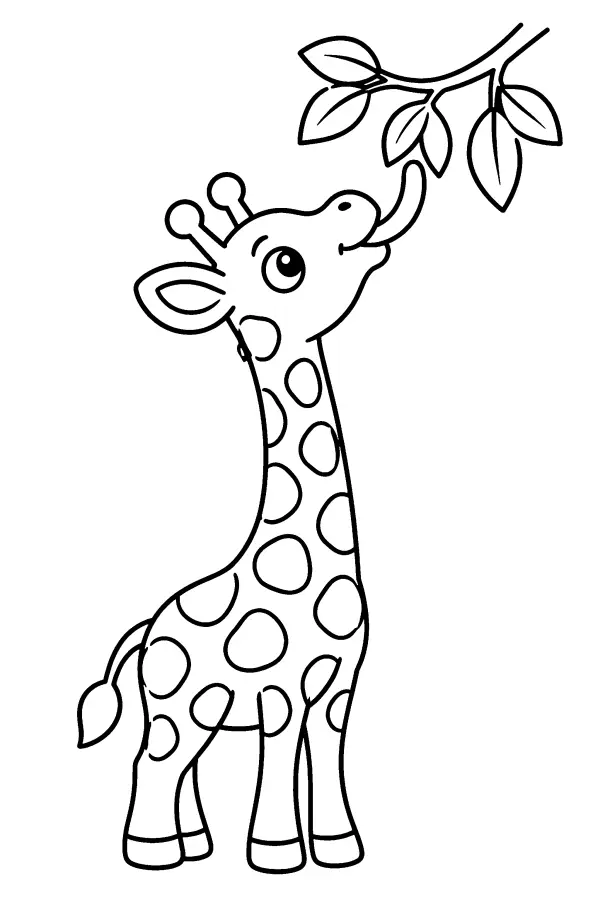 Giraffe Reaching Up