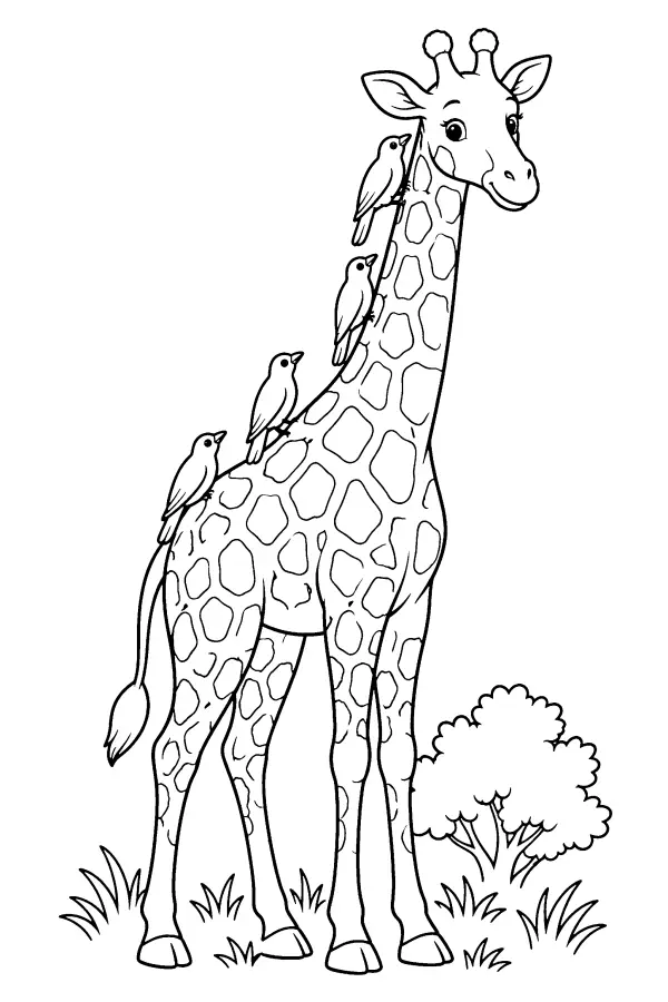 Giraffe With Birds
