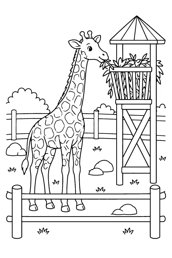 Zoo Giraffe Tower