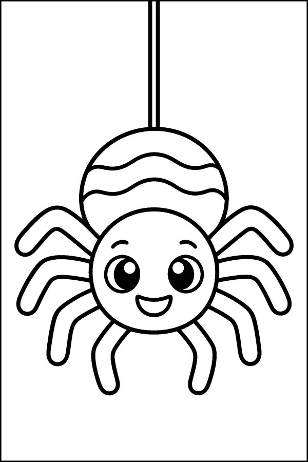 Spider on a Thread