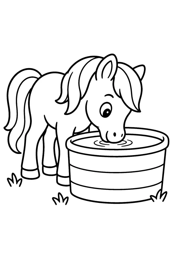 Dessin à colorier d’un poney buvant à l’abreuvoir