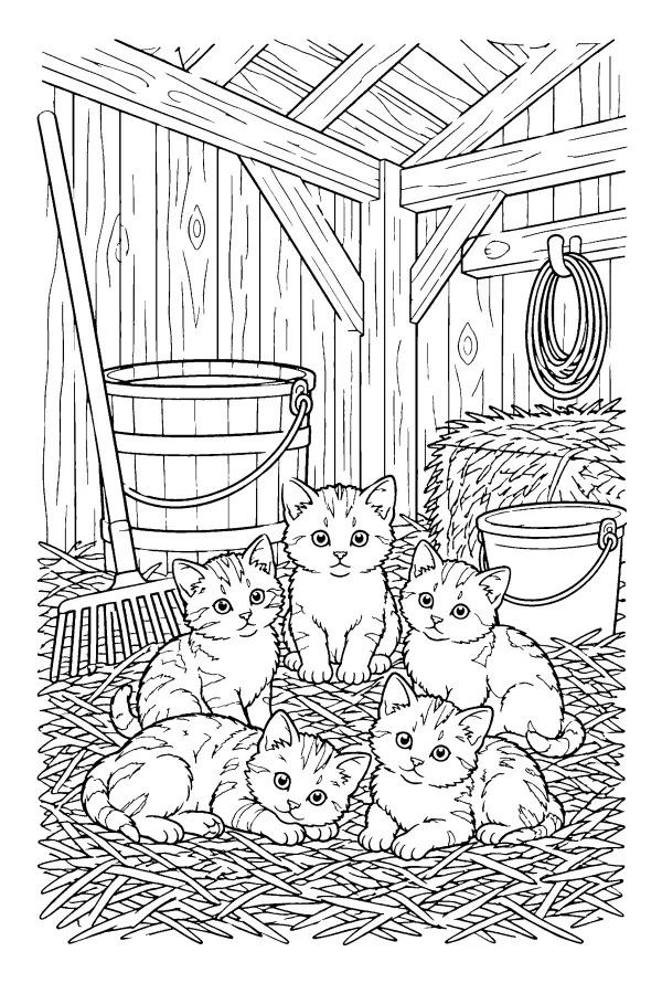 Barn Corner Kittens