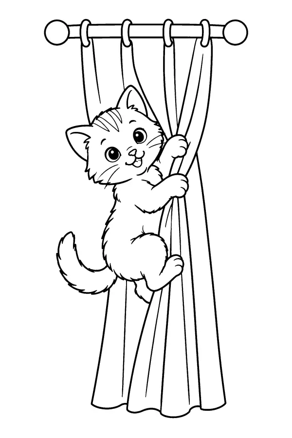 Curtain Climbing Kitten