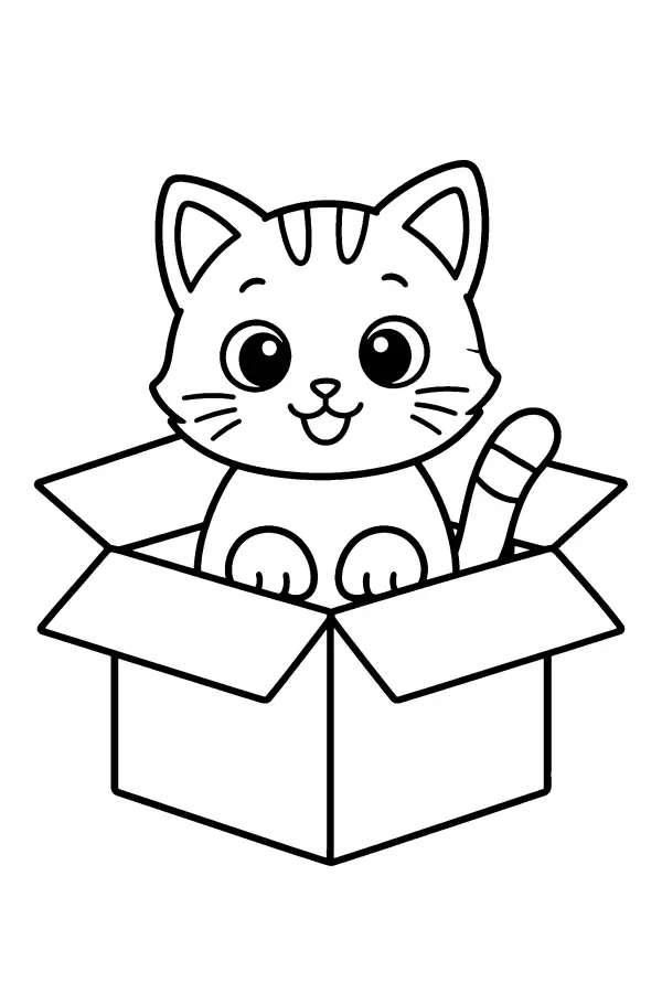 Kitten In Box