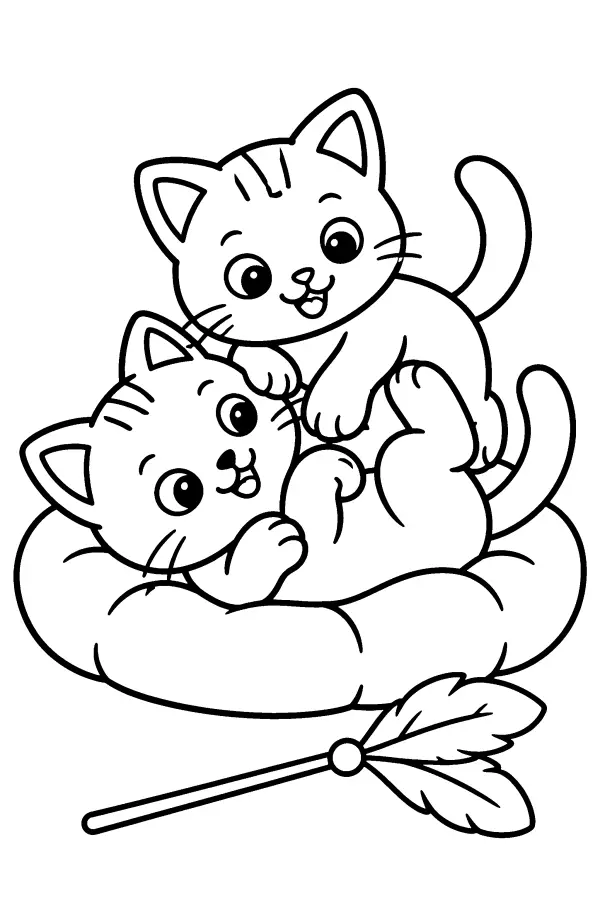 Kittens On Cushion