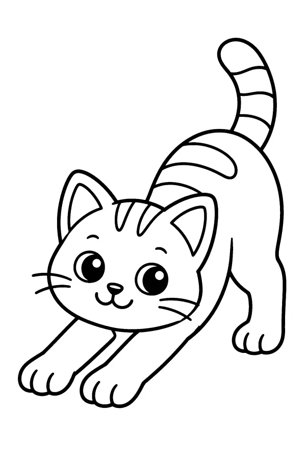 Stretching Kitten