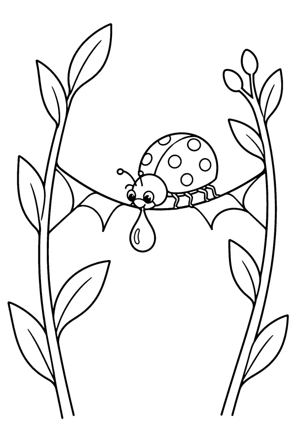 Dew Drop Ladybug