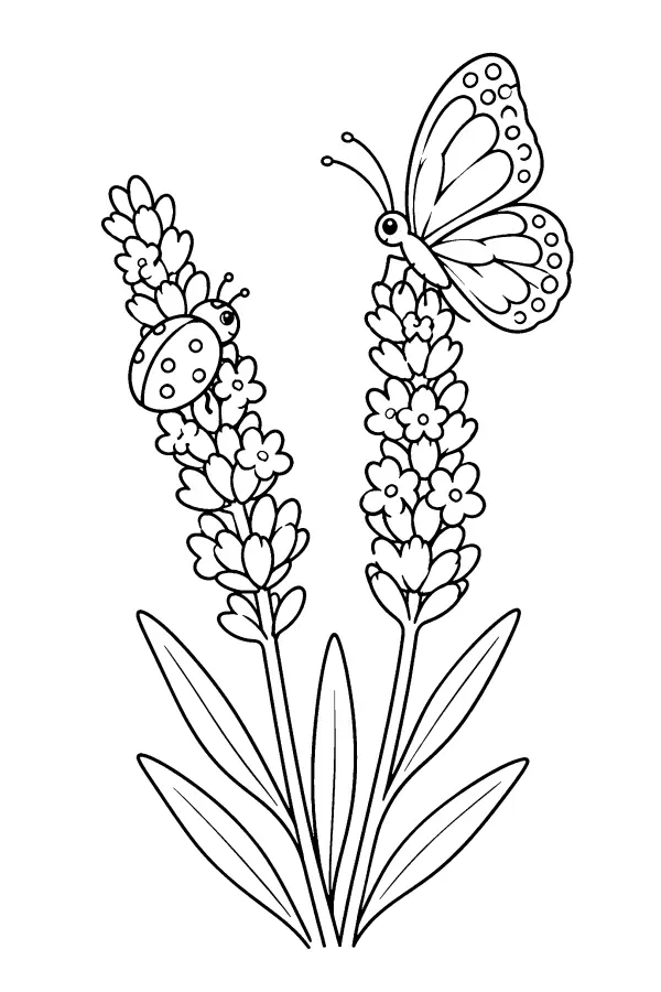 Ladybug And Butterfly Lavender