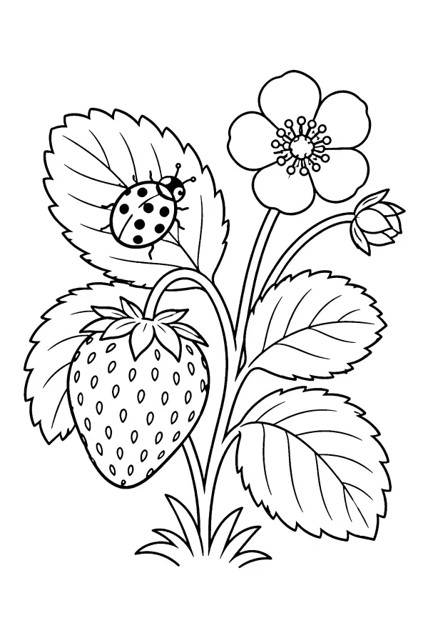 Ladybug Strawberry Plant