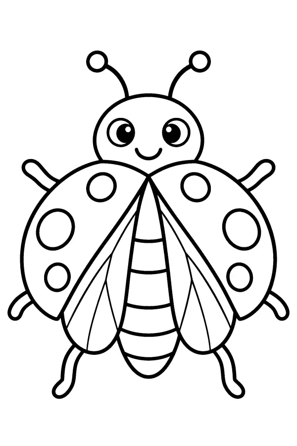 Open Wing Ladybug