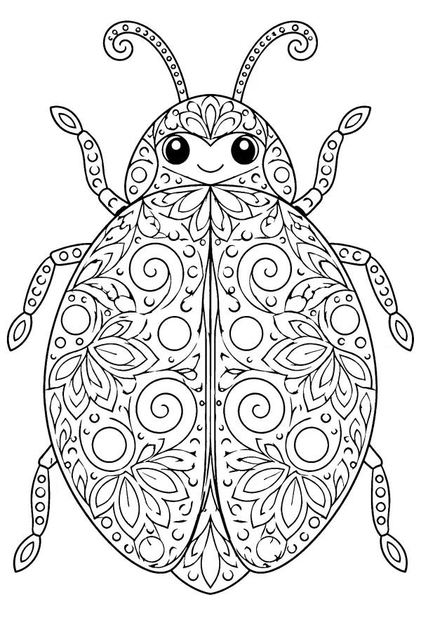 Ornate Ladybug