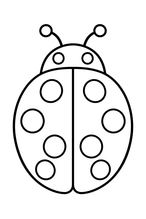 Plain Spot Ladybug