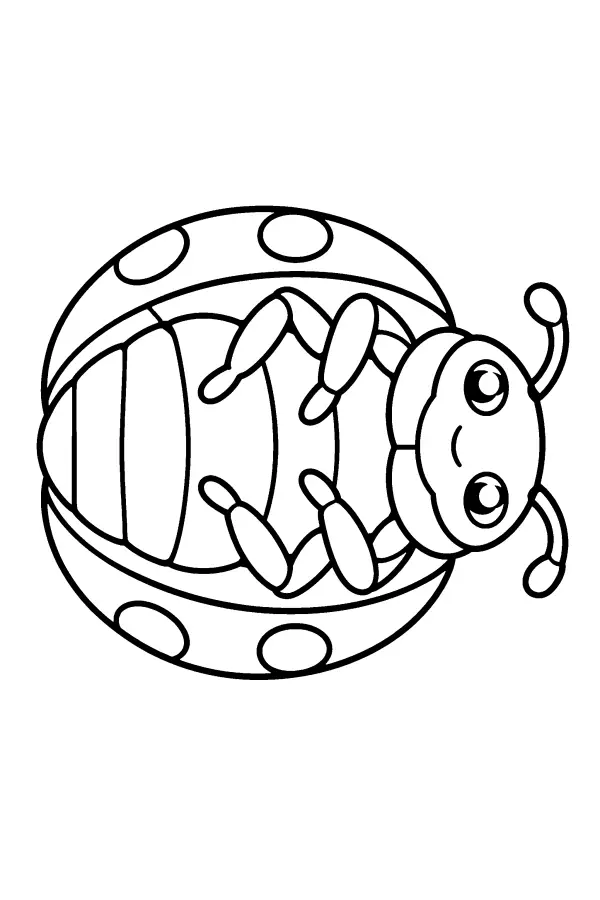 Sideways Ladybug