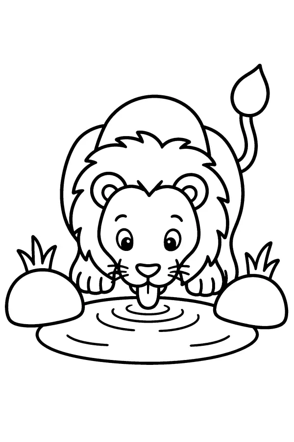 Lion At Waterhole