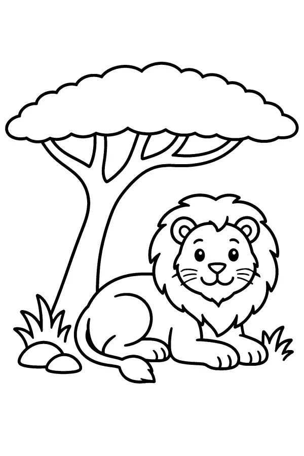 Lion Under Acacia