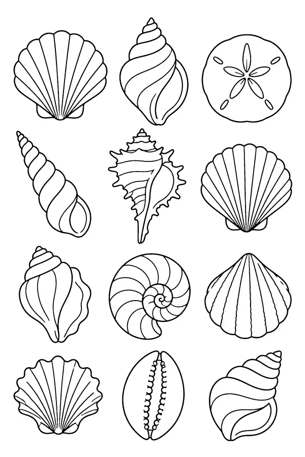 Dessin à colorier de coquillages pour sirène
