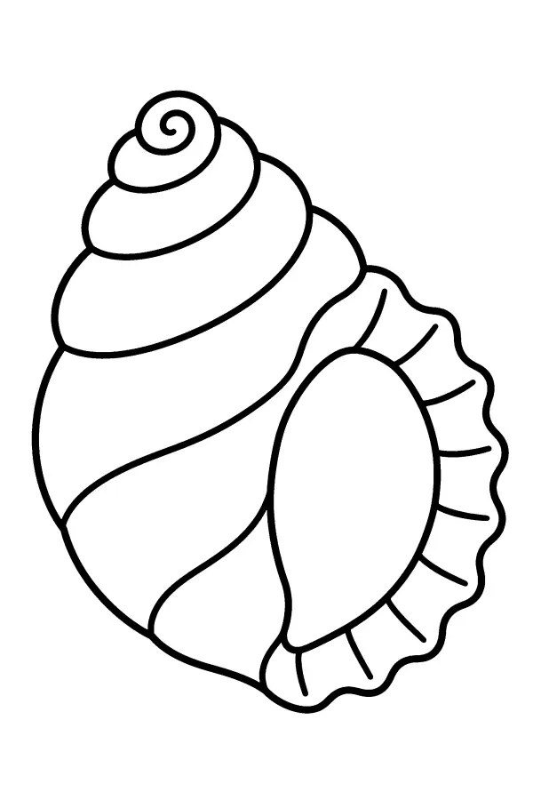Dessin à colorier d’un coquillage de sirène