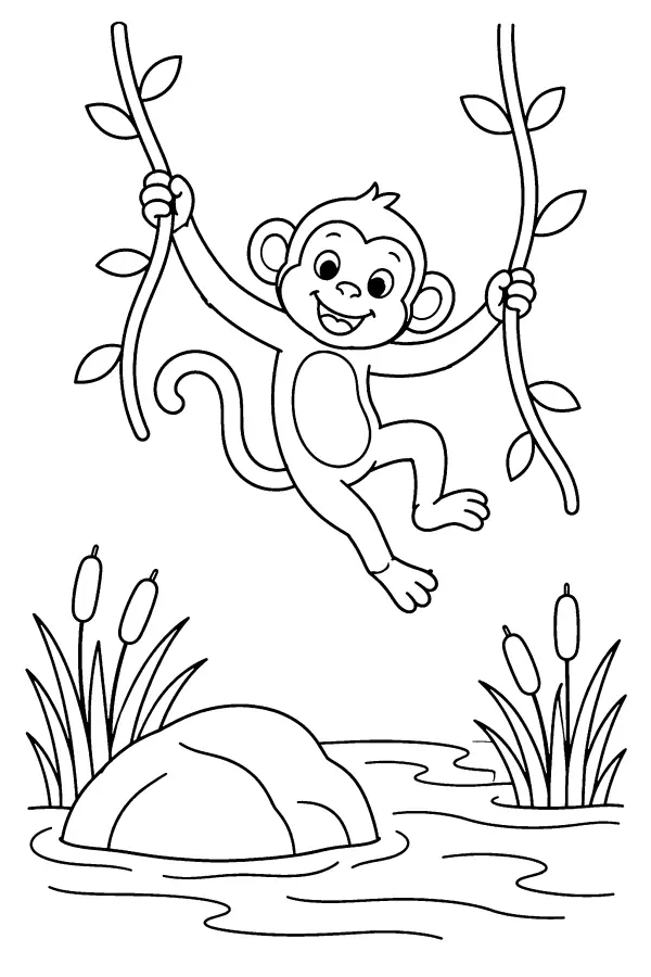 Monkey Above River