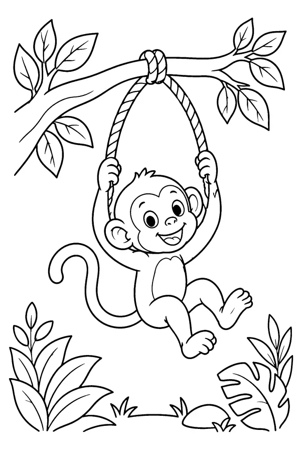 Rope Swing Monkey