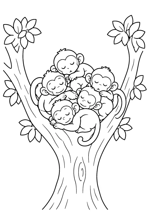 Sleeping Monkey Nest