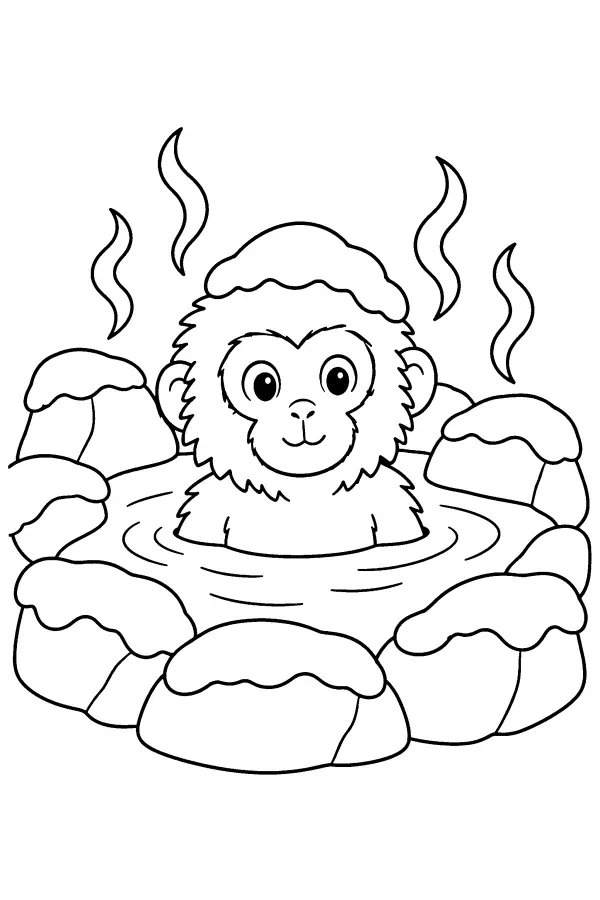 Snowy Hot Spring Monkey