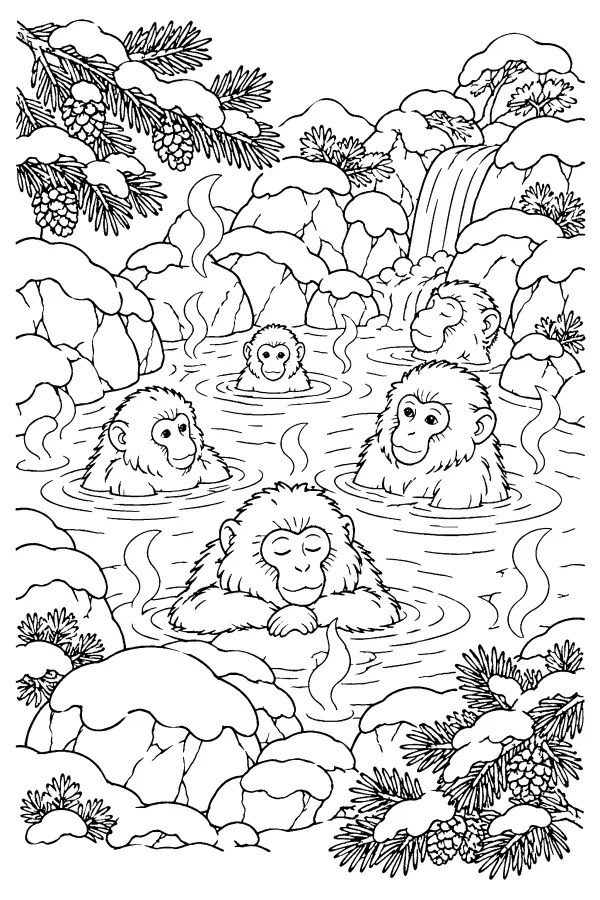 Winter Hot Spring Monkeys