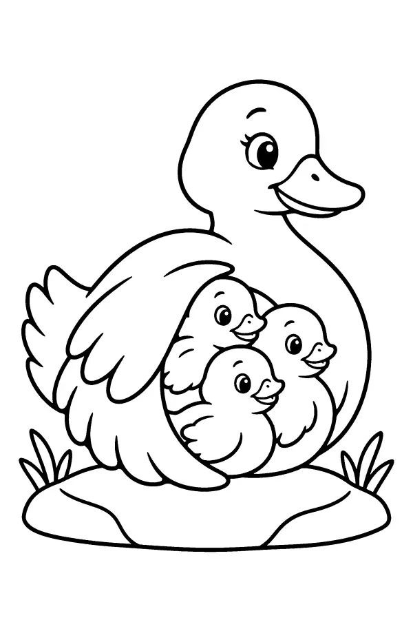 Duck Family On Stone