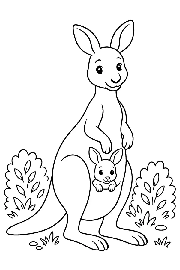 Kangaroo And Joey