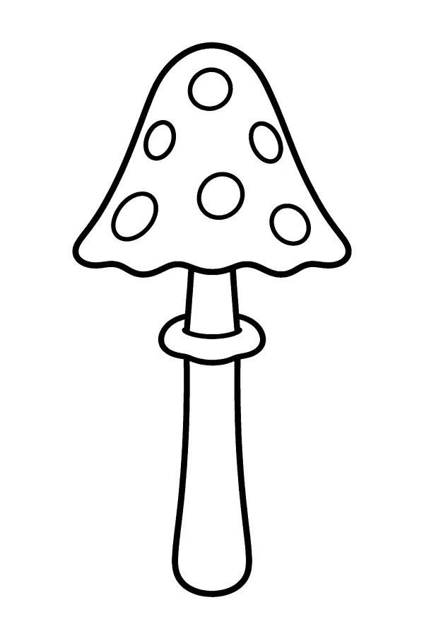Bell Cap Mushroom