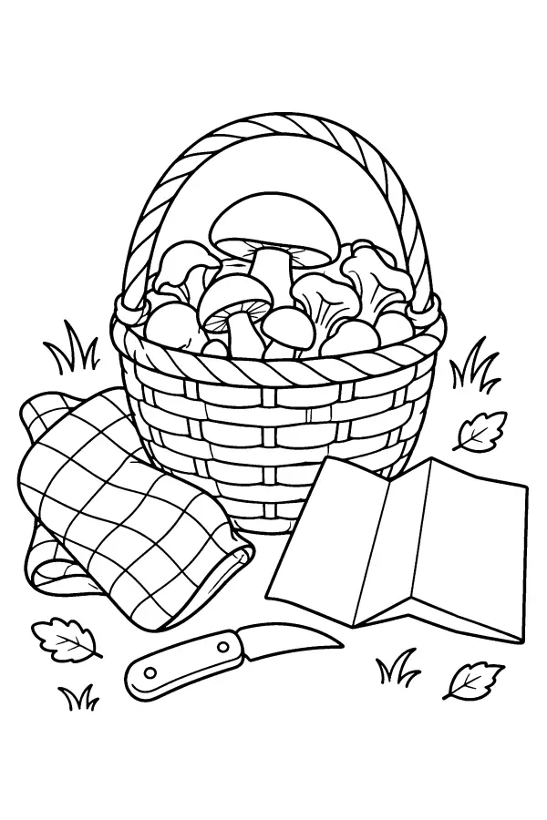 Forager's Basket