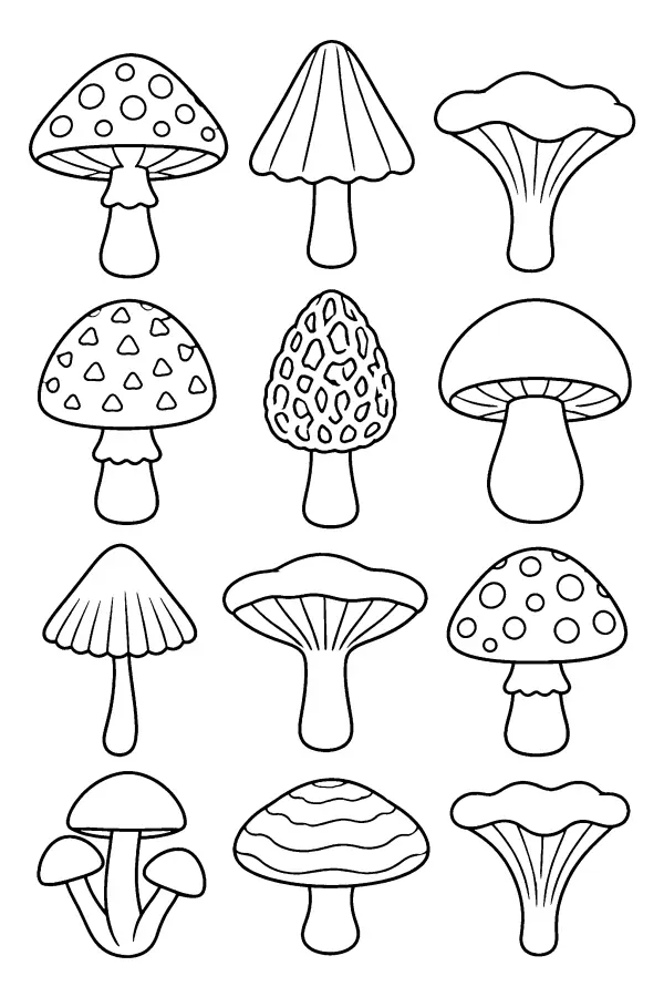 Mushroom Shape Grid