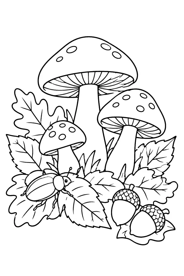 Mushrooms And Acorns