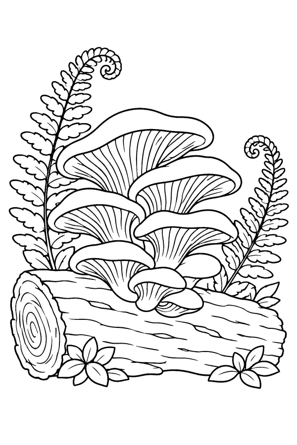 Oyster Log Cluster
