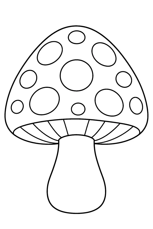 Patterned Toadstool