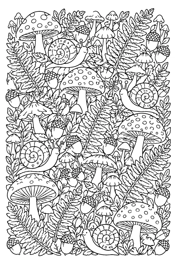 Snails And Mushrooms
